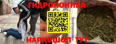 крисы Ирбит