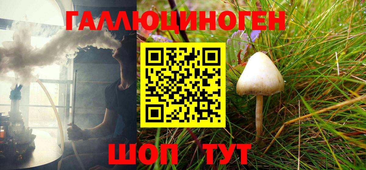 Галлюциногенные грибы Psilocybine cubensis  Вход с VPN  Курчатов 